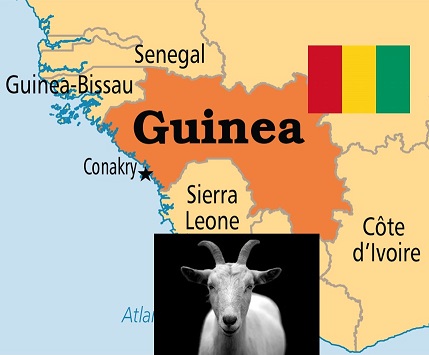 Disease outbreak news